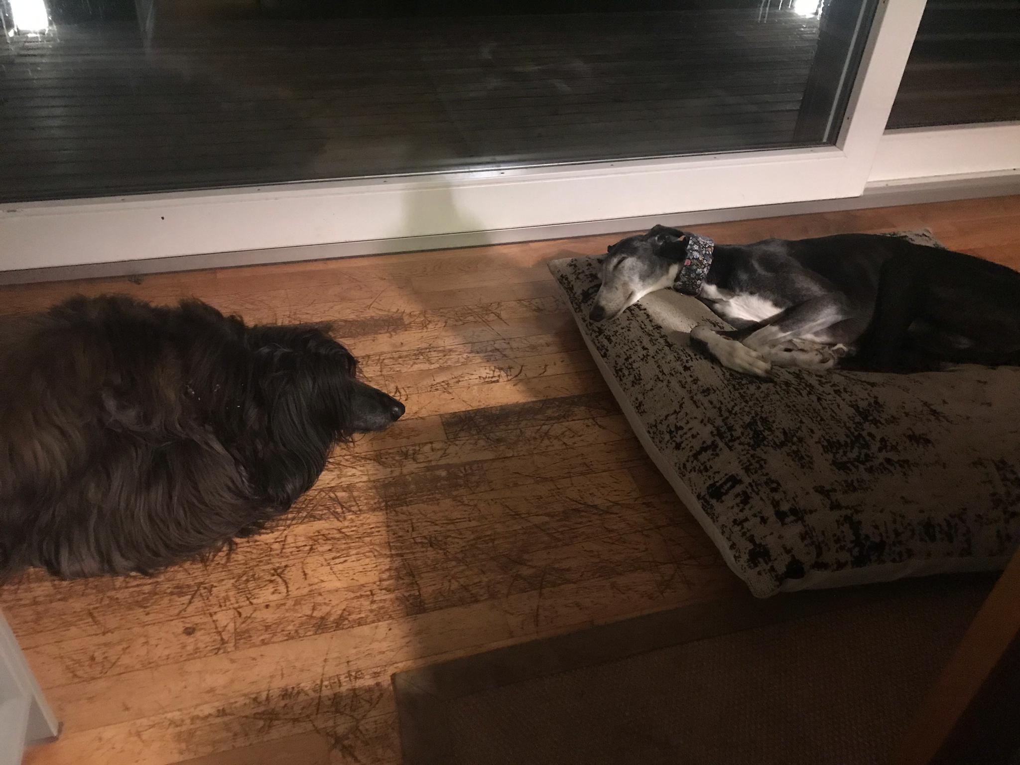 "The best place to be"